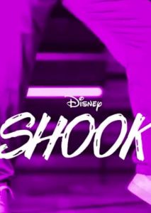 Shook (2019)