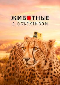 Животные с объективом (2018)